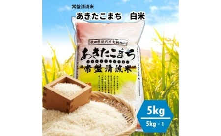[白米]秋田県産 あきたこまち 5kg 常盤清流米 令和5年産