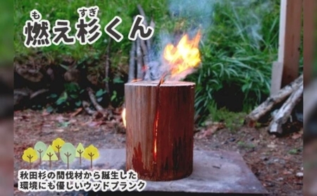 里山くらし応援 木工品 秋田杉のスウェーデントーチ「燃え杉くん(もえすぎくん)」