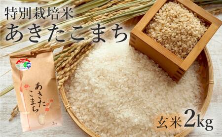 [玄米]特別栽培米 あきたこまち 2kg 秋田県産 令和5年産