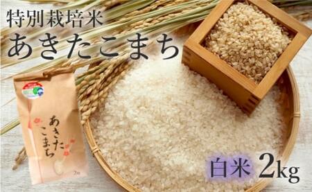 [白米]特別栽培米 あきたこまち 2kg 秋田県産 令和5年産
