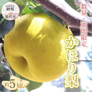 [数量・期間限定]幻の梨 「かほり梨」 5kg[2025年10月上旬から出荷予定] 秋田県 能代市 香り 梨 大玉 フルーツ 果物 幻 貴重 希少