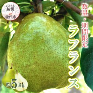[数量・期間限定]洋梨の女王「ラフランス」 5kg [2025年11月中旬から出荷予定]秋田県 能代市 ラフランス 洋梨 フルーツ 果物 大玉