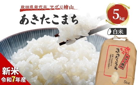[新米先行予約]新米 令和7年 秋田県産 あきたこまち 5kg 精米 白米 米 お米 おこめ こめ コメ 令和7年産 ブランド米 ご飯 秋田 秋田県 能代市