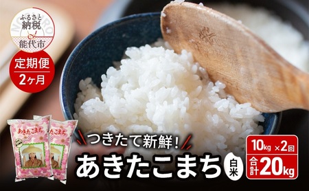 s2t ĐVN ܂!! {̂܂ 10kg×2 v20kg   uh ɂ ߘa7NY Yn  ͂ Hc Hc \s