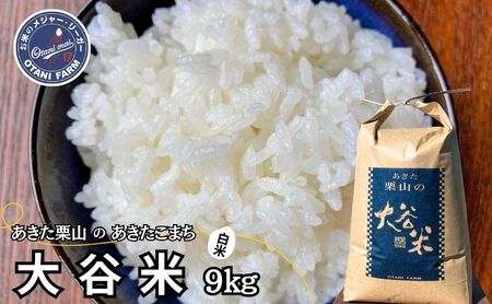  ܂ 9kg ߘa7NY IR J      ߘa7N Pꌴ ͂ Hc܂ Hc Hc \s