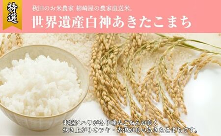 [玄米]秋田県産 あきたこまち 10kg お米専門農家だからできる こだわりの産地直送米 令和6年産