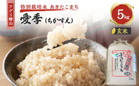 ߘa7NY V AOwR G()  5kg  ܂     R ͂  嗱 ߘa7N  Hc Hc \s