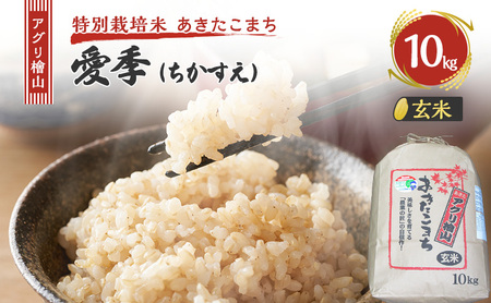 ߘa7NY V AOwR G()  10kg  ܂     R ͂  嗱 ߘa7N  Hc Hc \s