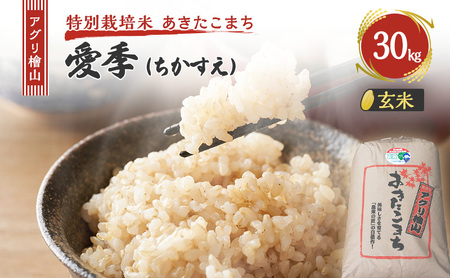 ߘa7NY V AOwR G()  30kg  ܂     R ͂  嗱 ߘa7N  Hc Hc \s