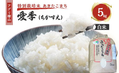 ߘa7NY V AOwR G()  5kg  ܂      R ͂  嗱 ߘa7N  Hc Hc \s