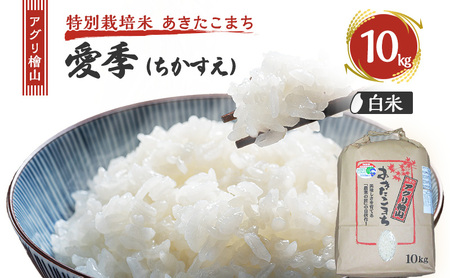 ߘa7NY V AOwR G()  10kg  ܂      R ͂  嗱 ߘa7N  Hc Hc \s