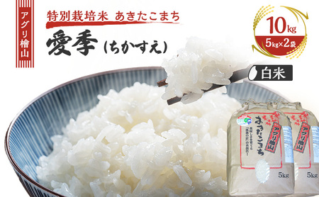 ߘa7NY V AOwR G()  10kg ( 5kg × 2 )( ʍ͔| ܂ )     R ͂  嗱 ߘa7N  Hc Hc \s