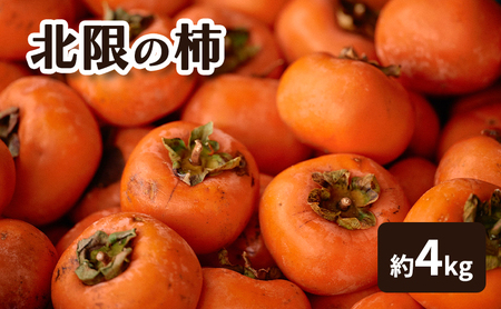北限の柿 果物類