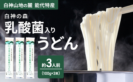 うどん 白神の森乳酸菌入りうどん 100g(約1人前)×3束 麺 乾麺 鍋 冷たい 温かい ざるうどん 鍋の締め 腸活 乳酸菌