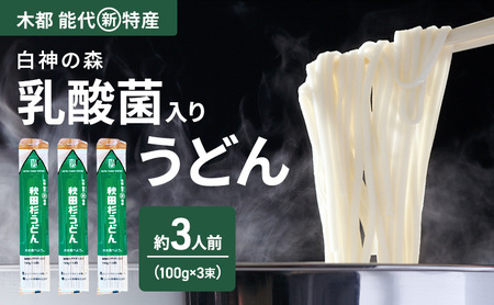 うどん 秋田杉うどん 100g(約1人前)×3束 麺 乾麺 鍋 冷たい 温かい ざるうどん 鍋の締め 杉 スギ 木