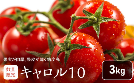北海道 富良野市産 完熟ミニトマト(キャロル10)約1kg トマト 甘い 野菜 新鮮 数量限定 先着順 [藏ファーム]