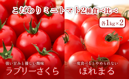 [2025年夏発送]ふらの ミニトマト 食べ比べ 各1kg×2種 計2kg(品種:ほれまる&ラブリーさくら)北海道 富良野市 野菜 新鮮 直送 トマト 道産 ふらの 送料無料 数量限定 先着順