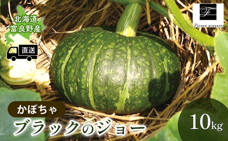 [2025年9月〜発送]北海道 富良野市 かぼちゃ ブラックのジョー 10kg ふらの 野菜 カボチャ 数量限定 (フラノプレゼンツ)