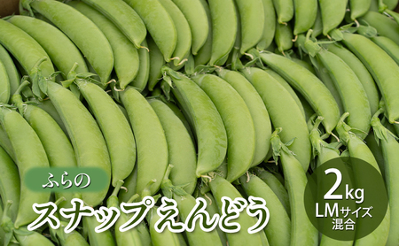 [2025年夏発送]ふらの スナップえんどう 2kg LMサイズ混合 バラ 北海道 富良野市 野菜 新鮮 直送 スナップえんどう 道産 ふらの 送料無料 数量限定 先着順