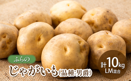 y2025NHzӂ ႪiiFj݁j v10kg LM kC xǖs  VN  Ⴊ j Y ӂ  ʌ 撅