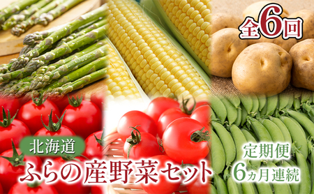 [2025年春〜秋発送]北海道 定期便 6ヵ月 連続 全6回 ふらの産野菜セット富良野市 野菜 新鮮 直送 アスパラ スナップえんどう とうもろこし ミニトマト ほれまる さくら じゃがいも 男爵 たまねぎ 道産 ふらの 送料無料 数量限定 先着順