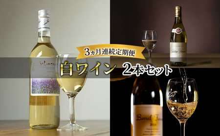 [全3回白ワイン定期便 3ヵ月連続!白ワイン2本セット]※申込の翌月から お酒 酒 ワイン ぶどう 飲み物 アルコール 北海道 送料無料 道産 富良野市 ふらの