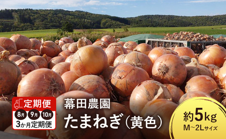 [2025年先行受付][3か月定期便]富良野産 黄色 玉ねぎ 約5kg(約15〜20玉) M〜2Lサイズ 野菜 新鮮 直送 黄玉ねぎ 玉葱 玉ネギ 道産 北海道 富良野市 ふらの 幕田農園