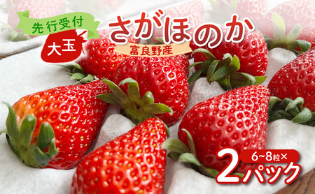 [2026年先行予約] 富良野産 いちご さがほのか 大玉 6〜8粒×2パック [ フルーツ 果物 新鮮 贈り物 ギフト フルーツ 生いちご イチゴ 苺 大粒 甘い 道産 北海道 富良野 ]