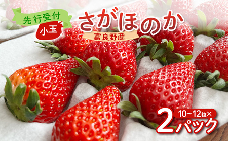 [2026年先行予約] 富良野産 いちご さがほのか 小玉 10〜12粒×2パック [ フルーツ 果物 新鮮 贈り物 ギフト フルーツ 生いちご イチゴ 苺 大粒 甘い 道産 北海道 富良野 ]