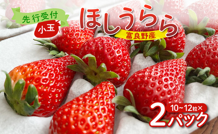 [2026年先行予約] 富良野産 いちご ほしうらら 小玉 10〜12粒×2パック [ フルーツ 果物 新鮮 贈り物 ギフト フルーツ 生いちご イチゴ 苺 大粒 甘い 道産 北海道 富良野 ]