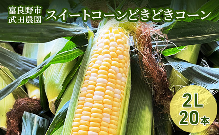 2026年夏発送 [武田農園とれたて直送]スイートコーン どきどきコーン 2L 20本 北海道 富良野産 ( とうもろこし 野菜 新鮮 とうきび 甘い 産地直送 先行予約 限定 )