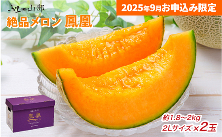 [9月限定特別価格★]ふらの山部の絶品メロン『鳳凰』 2L(1.8〜2kg)×2玉(坂口農産)メロン フルーツ 果物 新鮮 甘い 贈り物 ギフト 道産 ジューシー おやつ ふらの ブランド 夏