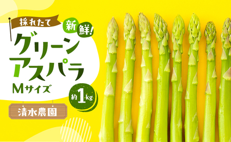 [2026年先行受付]ふらの産 採れたて グリーンアスパラ(Mサイズ)約1kg [清水農園] アスパラ アスパラガス Mサイズ 野菜 新鮮 甘い 北海道 富良野 ふらの