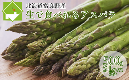 [2026年5月下旬〜発送]北海道ふらの産☆生で食べれるアスパラ[500g]S-Lサイズ混合 (スイートベジタブルファクトリー) 野菜 新鮮 直送 朝採り アスパラガス 道産 北海道 ふらの