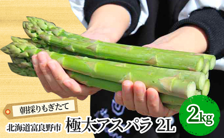 y2026Ntzɑ O[AXp 2LTCY 2kg kC xǖsY (XC[gxW^ut@Ng[)  VN  ̂ AXpKX Y kC ӂ