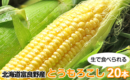 [2026年夏発送]富良野産 生で食べられる とうもろこし[恵味(めぐみ)] 20本 野菜 コーン
