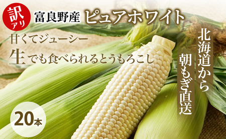[2026年8月〜発送]訳あり とうもろこし ピュアホワイト 20本 北海道 富良野産 生で食べられる (スイートベジタブルファクトリー) とうもろこし とうきび コーン 野菜 新鮮 甘い ジューシー 道産 直送
