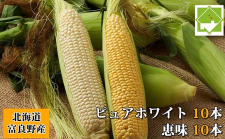 [2026年8月〜発送]トウモロコシ 2種類セット 20本入 生で食べれる ピュアホワイト&恵味(めぐみ) 北海道 富良野市 (スイートベジタブルファクトリー) とうもろこし とうきび コーン 野菜 新鮮 甘い