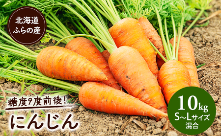 [2025年8月上旬より発送]北海道富良野産 にんじん [約10kg] (S〜Lサイズ混合) (スイートベジタブルファクトリー) 野菜 新鮮 直送 朝採り にんじん ニンジン 人参 道産 北海道 ふらの