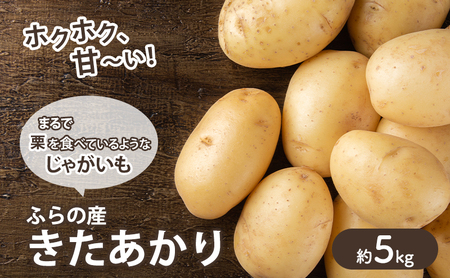 [2025年10月〜発送]甘くてホクホク!じゃがいも きたあかり [約5kg] (スイートベジタブルファクトリー) 野菜 新鮮 直送 朝採り じゃがいも 芋 インカのめざめ いんか 道産 北海道 ふらの
