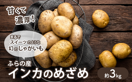 [2025年10月〜発送]濃厚な甘さ!黄金のジャガイモ インカの目覚め [約3kg] (スイートベジタブルファクトリー) 野菜 新鮮 直送 朝採り じゃがいも 芋 インカのめざめ いんか 道産 北海道