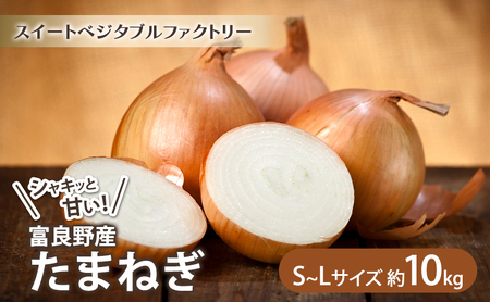 [2025年8月上旬より発送]北海道富良野産 たまねぎ [約10kg] (S〜Lサイズ混合) (スイートベジタブルファクトリー) 野菜 新鮮 直送 朝採り たまねぎ 玉ねぎ 玉葱 人参 道産 北海道 ふらの