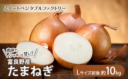 [2025年8月上旬より発送]北海道富良野産 たまねぎ [約10kg] (Lサイズ前後) (スイートベジタブルファクトリー) 野菜 新鮮 直送 朝採り たまねぎ 玉ねぎ 玉葱 人参 道産 北海道 ふらの