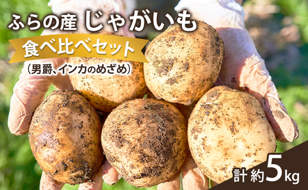 [2025年10月〜発送]じゃがいも 食べ比べセット 男爵3kg+インカのめざめ2kg+[計約5kg] (スイートベジタブルファクトリー) 野菜 新鮮 直送 朝採り じゃがいも 芋 男爵 男爵いも インカのめざめ