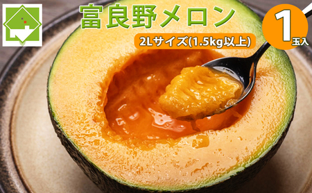 y2026N7{`zkC xǖ  2LTCY 1.5kgȏ×1 (XC[gxW^ut@Ng[)  t[c ʕ VN Â 蕨 Mtg Y W[V[  ӂ u