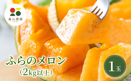 [2026夏発送]ふらのメロン 1玉 (2kg以上) 北海道 富良野産 メロン めろん 夏 果物 フルーツ ふらの 甘い 糖度 (畠山農園)