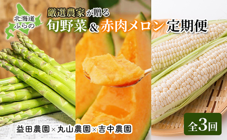 [年3回定期便][2026年5〜8月お届け]北海道 富良野 直送! 旬の新鮮 夏野菜 厳選 3農家 スペシャルコラボ 定期便 (アスパラガス 赤肉メロン とうもろこし 北海道 富良野市 野菜 果物 フルーツ 甘い 新鮮 益田農園 丸山農園 吉中)