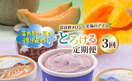 [定期便3回]富良野の夏を独り占め!富良野メロン×至福のアイス "とろける定期便" メロン 赤肉 大玉 果物 アイス アイスクリーム デザート おやつ ご褒美 冷凍 定期便 産地直送