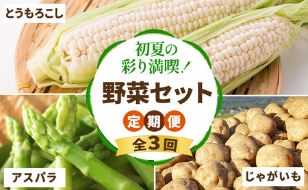 y2026Nt`Hz 3 Ă̍ʂ薞i ؃Zbg S3 i  VN  AXp Ƃ낱 Ⴊ j Y ӂ  ʌ kC xǖs j