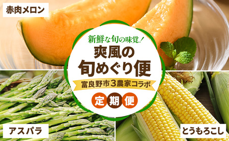 [2026年春〜夏発送][年3回定期便] 新鮮な旬の味覚 爽風の旬めぐり便 3農家コラボ 定期便 (アスパラガス 赤肉メロン とうもろこし 北海道 富良野市 野菜 果物 フルーツ 中山農園 NORTH FUN 富良野青果センター )